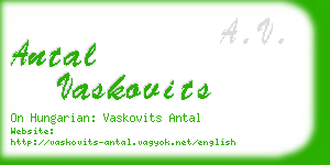 antal vaskovits business card